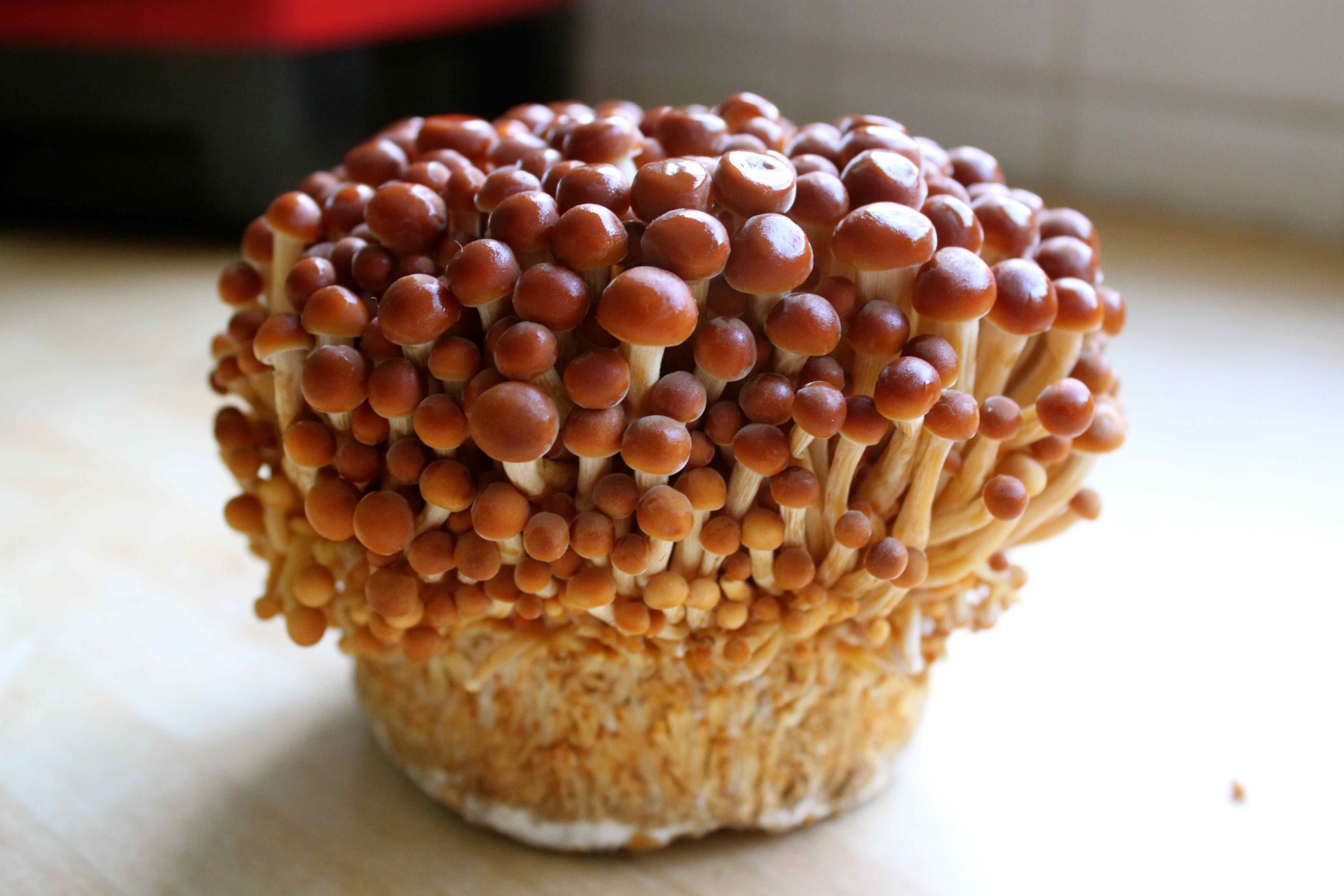 金针菇也有黄褐色的.图片:loseweightandgainhealth.wordpress.com