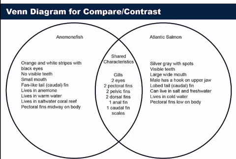body of a compare and contrast essay body of a compare and contrast essay