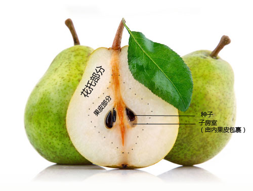 /gkimage/ne/ez/c9/neezc9.png