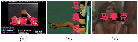 让电脑迷惑的图片2(图片来自原研究 )