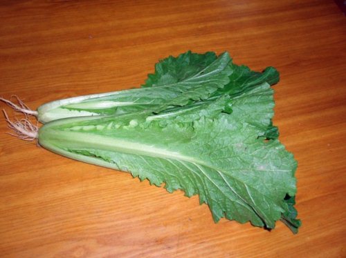 菜根小话·白菜